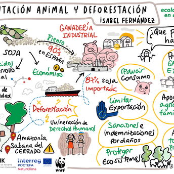 Graphic Recording - WWW - Alimentación y Deforestación